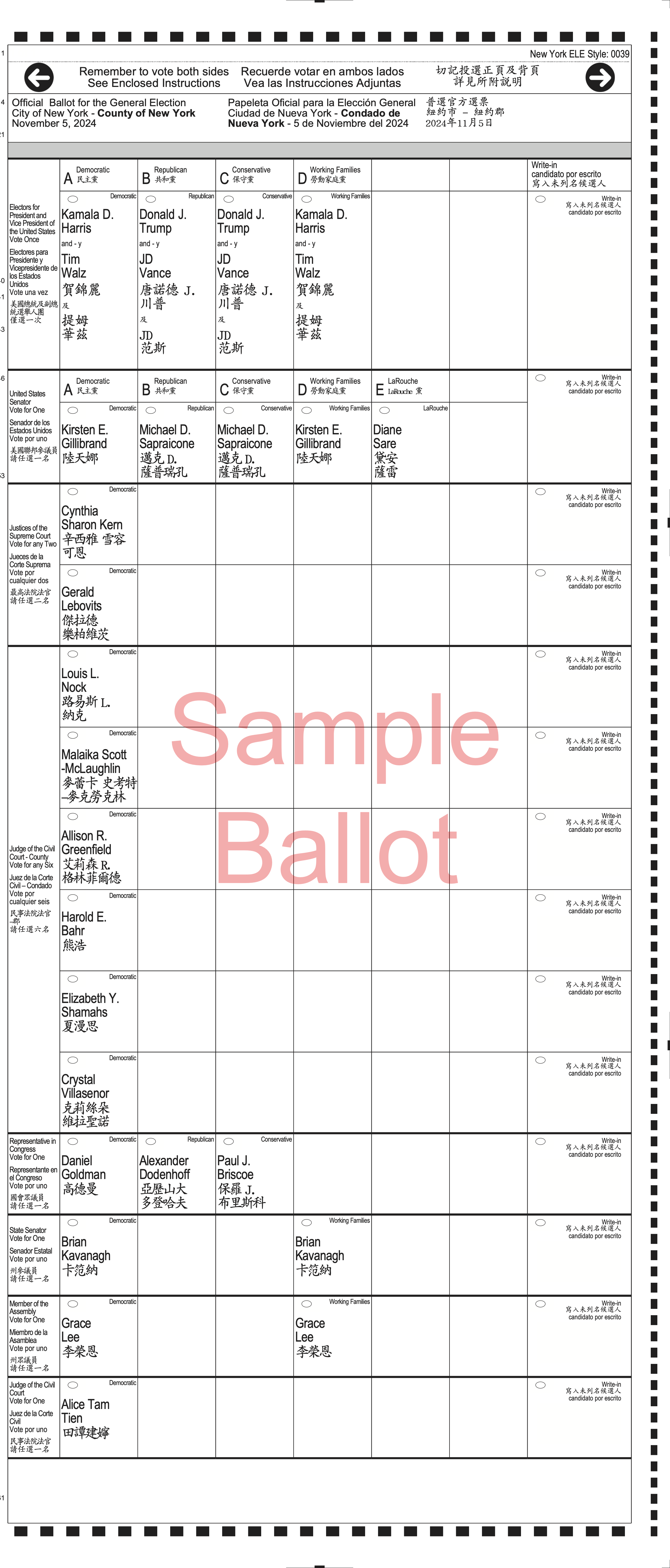 Check out a your 2024 ballot Grand Street Democrats